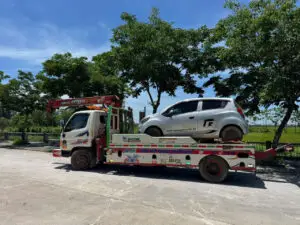 Cứu Hộ Hoa Lư - Ninh Bình
