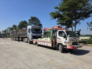 Cứu Hộ Chùa Tam Chúc